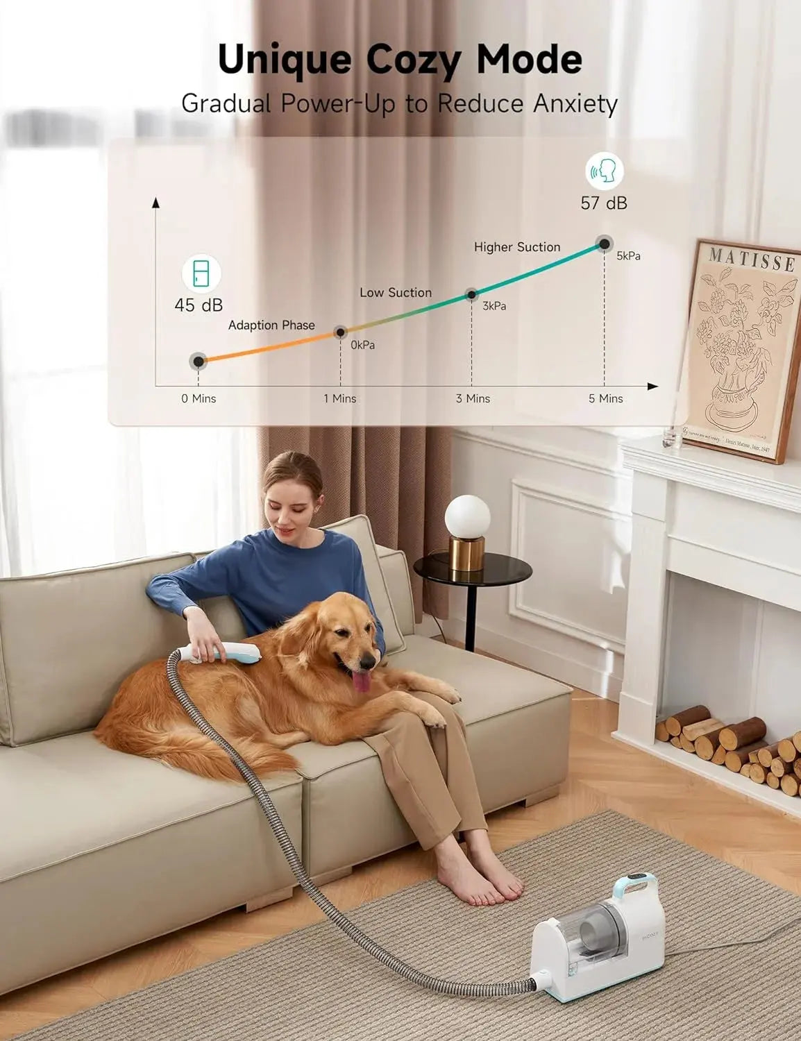 Woman grooming golden retriever indoors using Allebuy pet dryer showing dog grooming closest to me feature