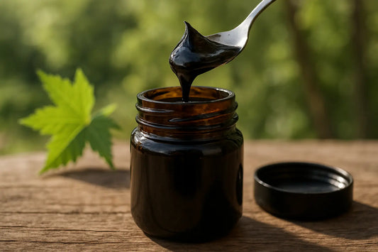 Shilajit Supplement Benefits That Supercharge Daily Energy