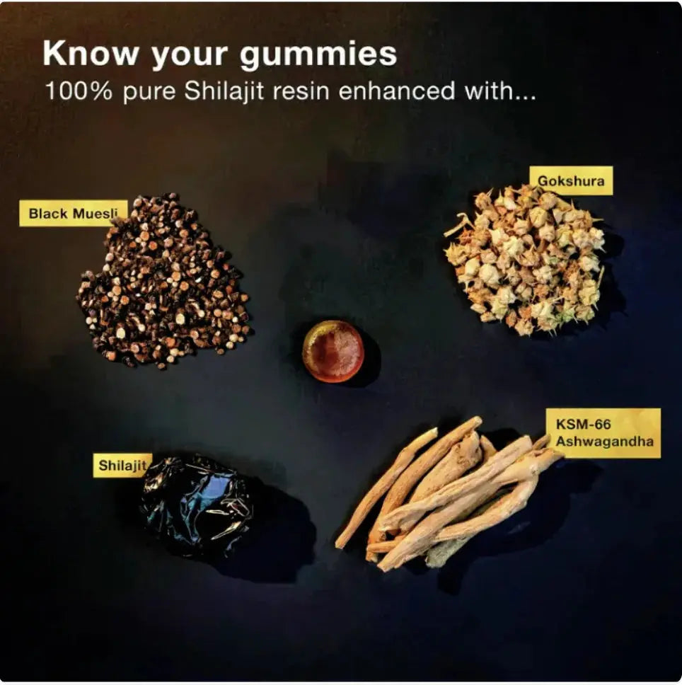 Allebuy supplement ingredients including shilajit resin, black muesli, gokshura, and KSM-66 ashwagandha for shilajit gummies