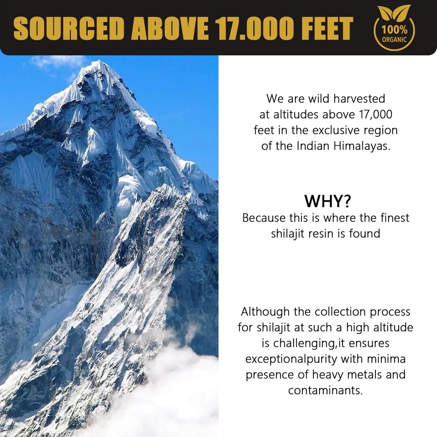 Mountain peak representing sourcing above 17,000 feet for pure Himalayan shilajit resin supplement