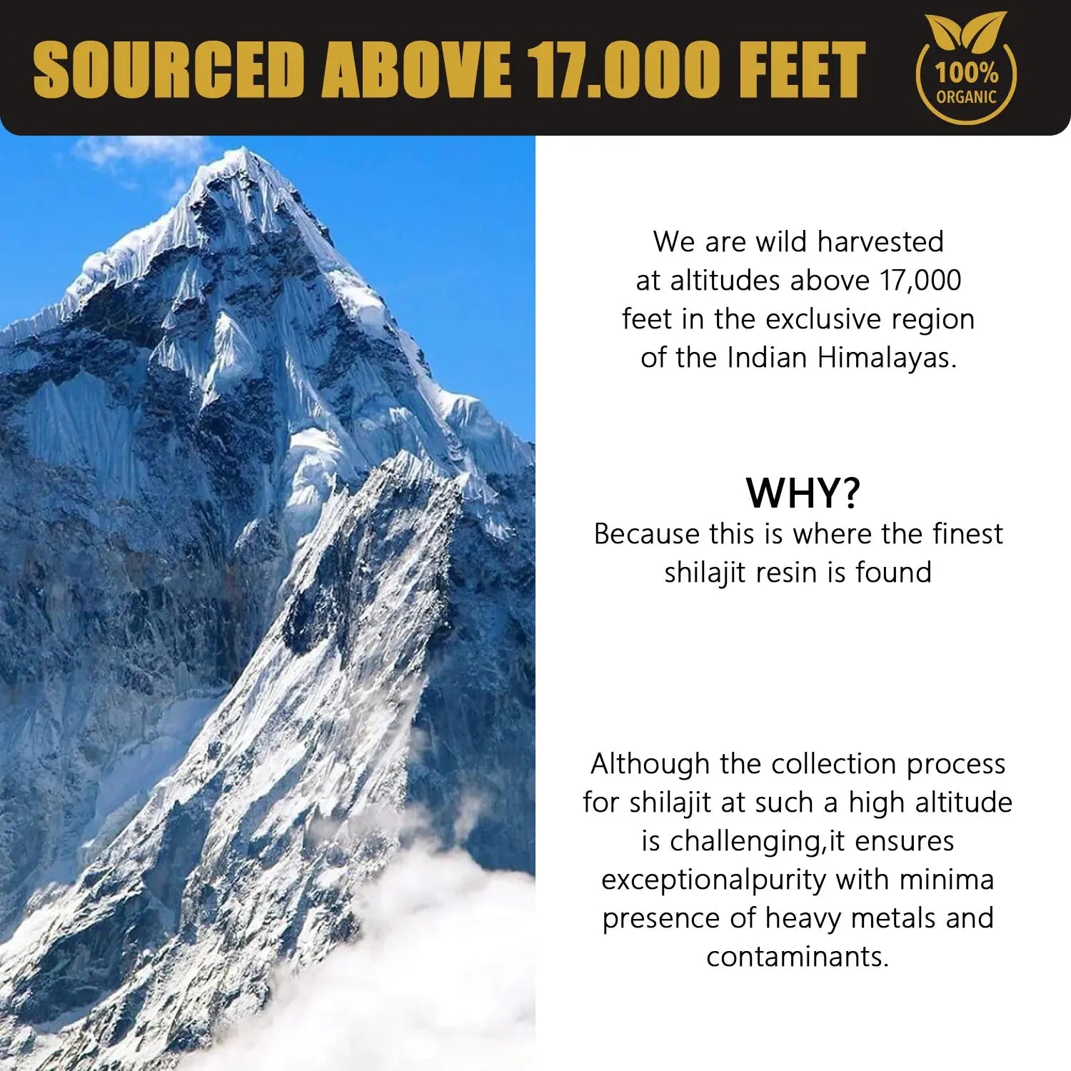 Mountain peak representing sourcing above 17,000 feet for pure Himalayan shilajit resin supplement