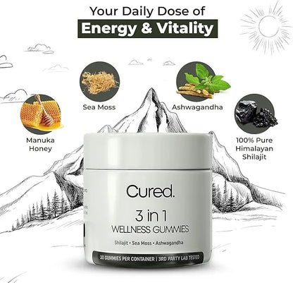 Allebuy Himalayan shilajit honey sticks supplement with Manuka honey sea moss and Ashwagandha for energy and vitality