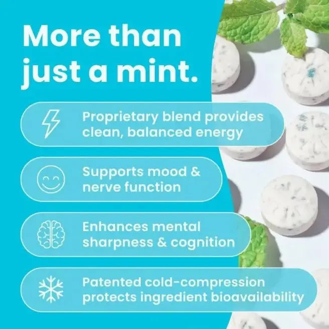 Allebuy nootropics smart drugs supplement mints supporting mood nerve function and mental sharpness