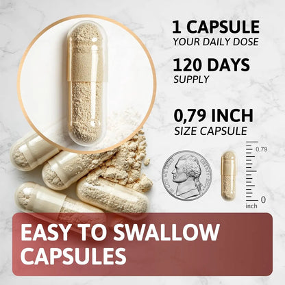 Allebuy ashwagandha dietary supplement capsules with easy to swallow powder and 120 days supply