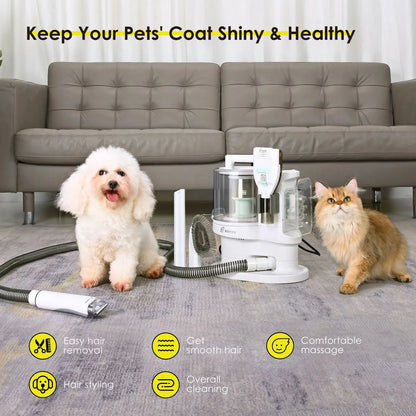 Dog groomers near me pet grooming tool with white poodle and fluffy orange cat on carpet