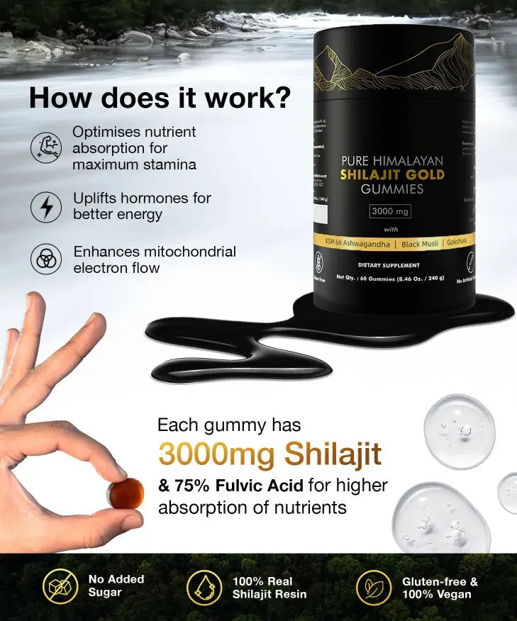 Allebuy Himalayan natural shilajit gummies supplement jar and gummy with benefits and nutrient absorption details