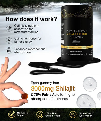 Allebuy Himalayan natural shilajit gummies supplement jar and gummy with benefits and nutrient absorption details