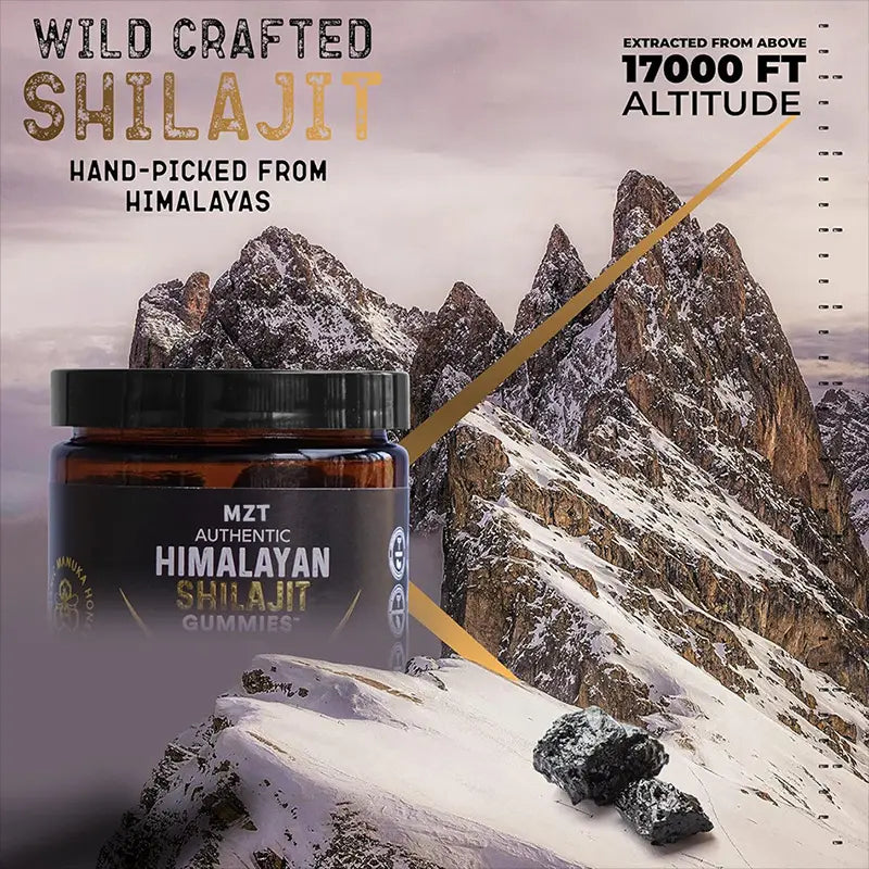 Allebuy supplement jar of pure himalayan shilajit gummies with Himalayan mountain background