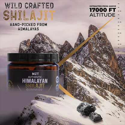 Allebuy supplement jar of pure himalayan shilajit gummies with Himalayan mountain background