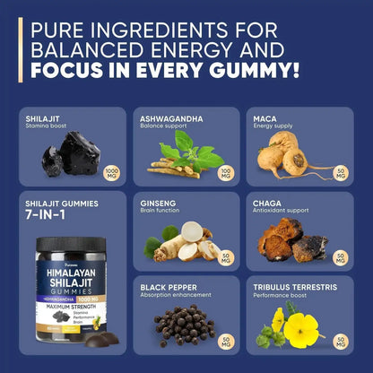 Allebuy Shilajit Gummies supplement with immune system support supplements featuring seven natural ingredients for energy and focus