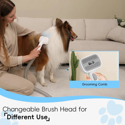 Dog groomers near me pet grooming using a changeable brush head on a Sheltie dog in a living room