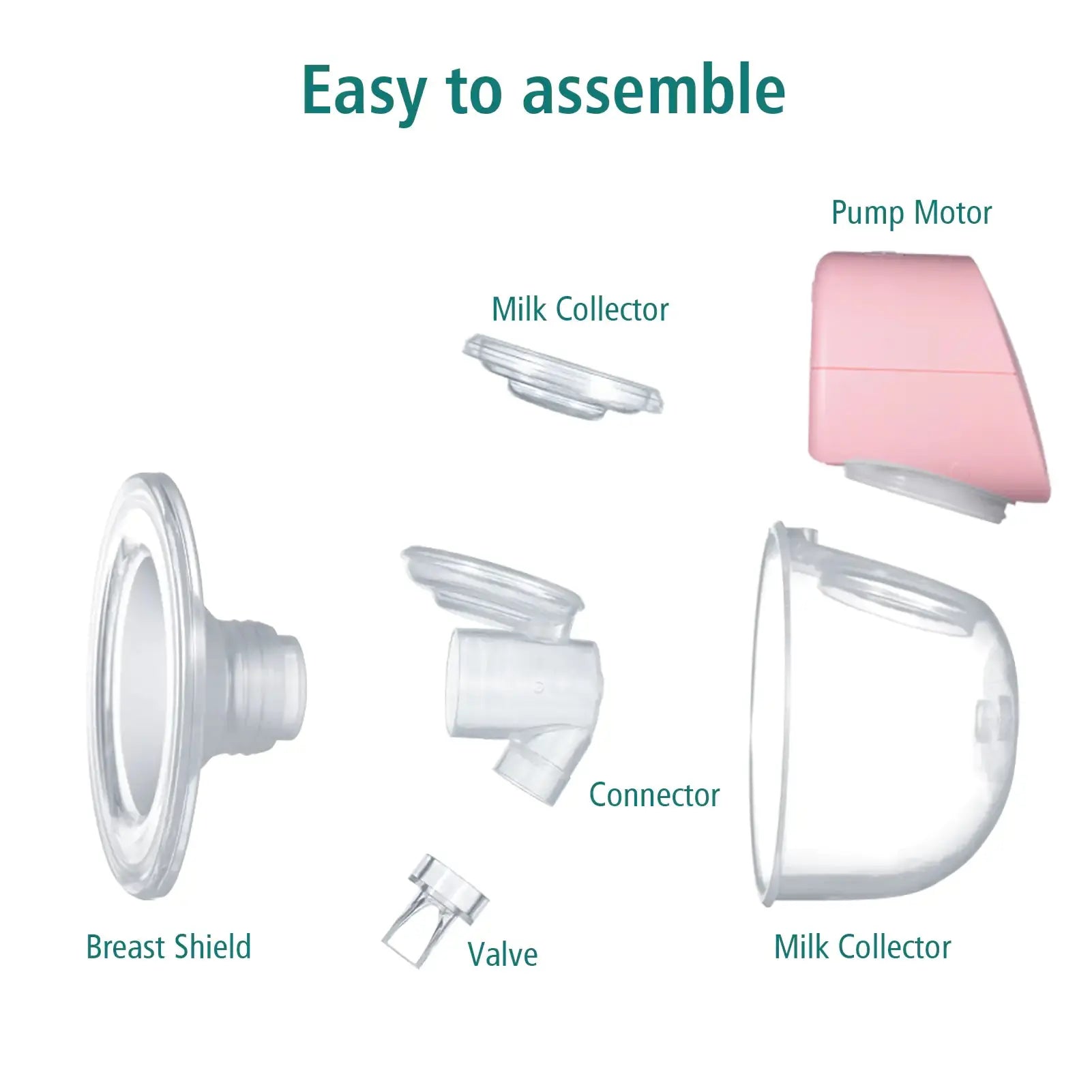 Breast pump on breast parts including pump motor breast shield milk collector connector and valve